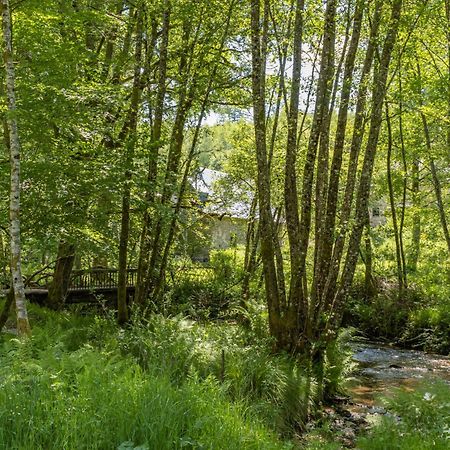 Gite Nature Le Moulin Vitrac-sur-Montane Zewnętrze zdjęcie