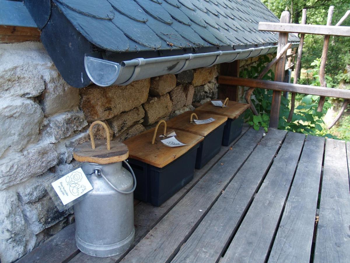 Gite Nature Le Moulin Vitrac-sur-Montane Zewnętrze zdjęcie