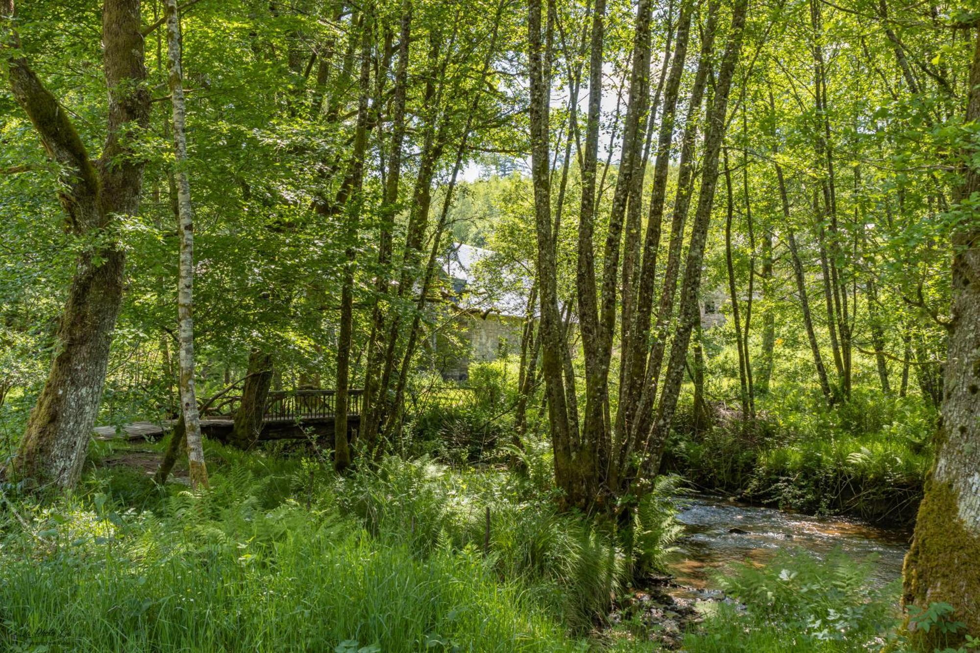 Gite Nature Le Moulin Vitrac-sur-Montane Zewnętrze zdjęcie