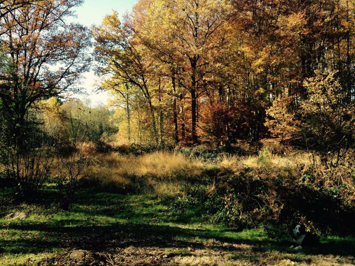 Gite Nature Le Moulin Vitrac-sur-Montane Zewnętrze zdjęcie
